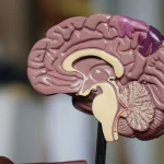 placeholder-16-9-ratio Featured image placeholder 16:9